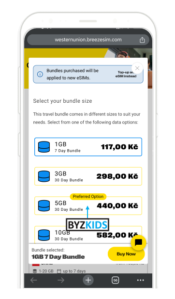 Western Union app screen