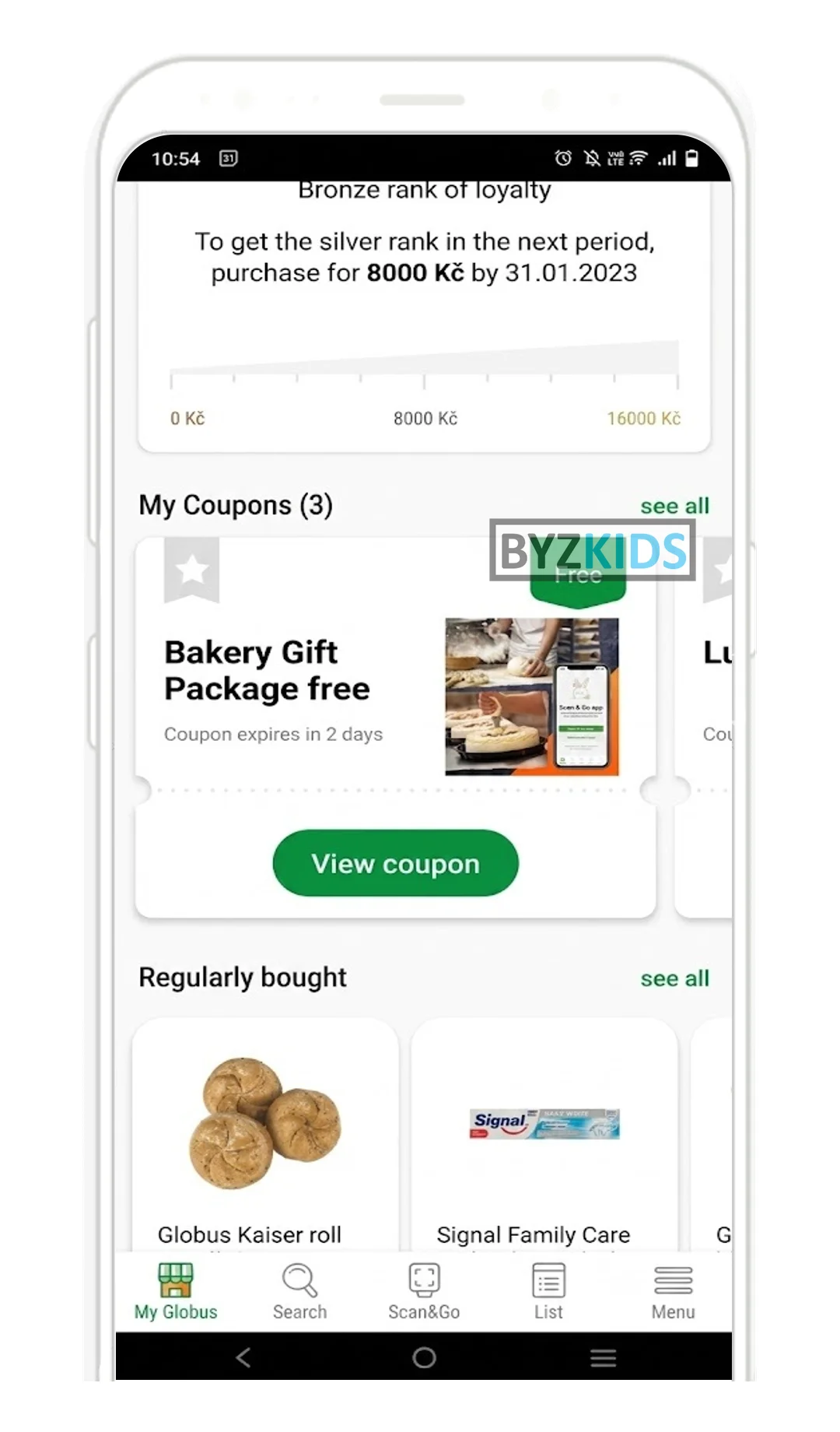 Globus: Gamified tiered loyalty with personalized expiring rewards